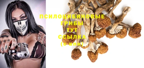 MDMA Коряжма