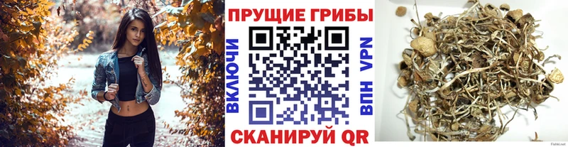 площадка официальный сайт  Туринск  Псилоцибиновые грибы мицелий  купить наркотик 
